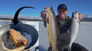 SLAMMING Browns and Kokanee! (California Ice Fishing)