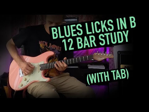 Blues Licks in B - 12 Bar Study
