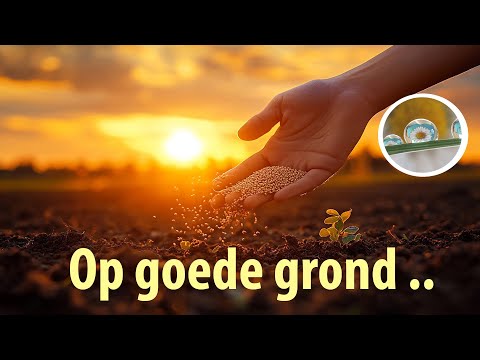 Ken je de gelijkenis van de zaaier? Hoe staat het met jouw grond waarin de zaadjes zijn gevallen?