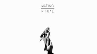 Mating Ritual - Hum Hum (OFFICIAL AUDIO)