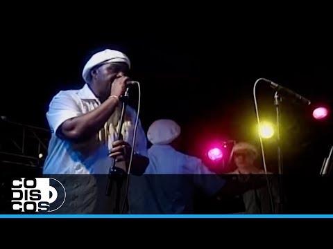 Papaupa, Quinto Mayor - Video