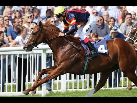 Baden-Baden: Ilovebadenbaden.de Cup (D) - Sieger: Zidar