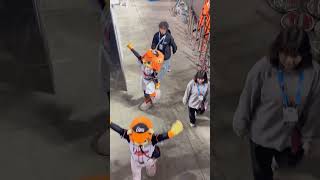 20250301台湾交流試合後　Unigirls退場　#unigirls #台湾チア