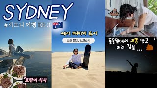🇦🇺 시드니 여행 Vlog.3 ㅣ동물원에서 새똥 맞음...💩ㅣ 투어)모래 썰매, 동물원, 별보기ㅣ 호랑이같이 스테이크 구워 먹어도 인당 2만원? 🐯🥩ㅣ포트스테판·블루마운틴