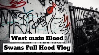 Welcome To The “Wess Main “Swans Blood ￼ Territory | Full Vlog