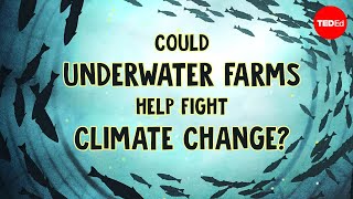 Could underwater farms help fight climate change? - Ayana Johnson and Megan Davis