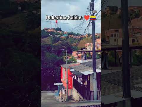 Palestina Caldas, No Te Vayas Sin Seguirme Muchas Gracias ❤️🇨🇴 #palestina #ejecafetero #pueblo