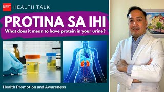 Protina sa ihi: What does it mean to have protein in your urine?