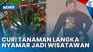 Siasat Pencuri Tanaman Langka di KRB, Menyamar Jadi Pengunjung Sejak Bulan Mei