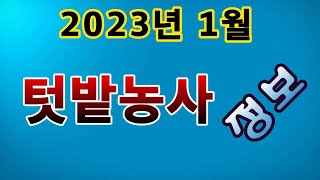 [텃밭농부.894]  2023년 1월 텃밭농사정보 #텃밭농사 #1월