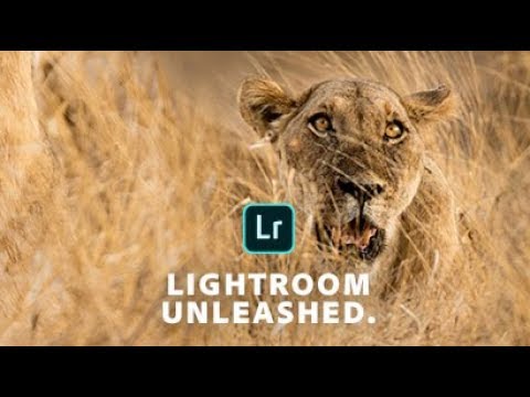 Lightroom Unleashed - Brighten Eyes with the Brush Tool I Adobe UK