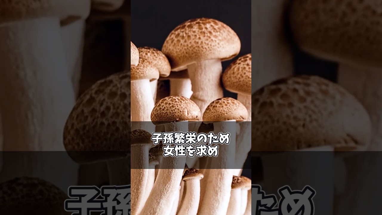 【ワンパンマン】シタノビールをざっくり解説　 #Shorts #ワンパンマン #ワンパンマン最新話