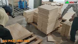 MÁY CẮT VÁN CÔNG NGHIỆP PANEL CNC HOLZTEK TECTRA-328F tại Cty Gỗ Vĩnh Thành