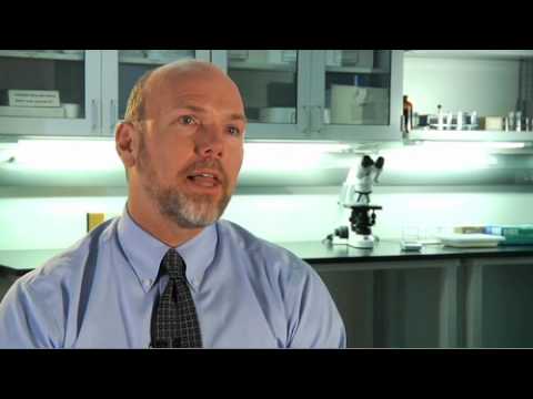 pcr biosystems