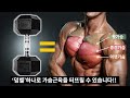 일반인이 덤벨로 '가슴근육' 키우는 가장 빠른 방법!?
