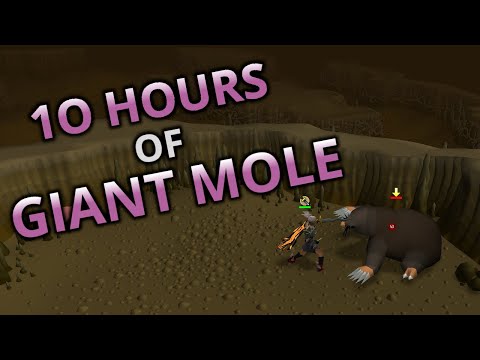 Loot From 10 Hours Of Giant Mole