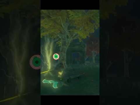 【善逸？】雷の呼吸も習得してしまった英傑がこちら【ゼルダの伝説ティアキン】#shorts #ティアキン  #totk #tearsofthekingdom