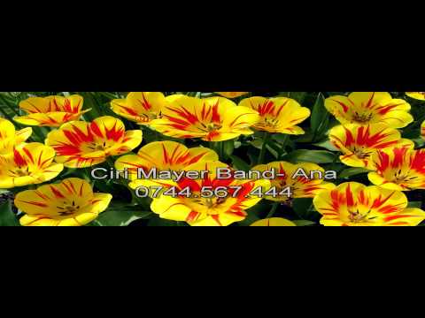 Ciri Mayer Band - Ana