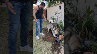 OU VOCÊ APRENDE AGORA OU MORRE SOFRENDO