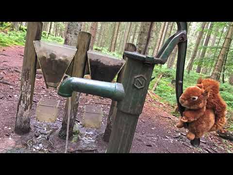 Naturerlebnispfad: Der Boden lebt (Audioguide – Teil 11)