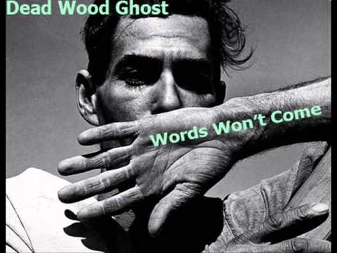 Dead Wood Ghost - Words Won't Come