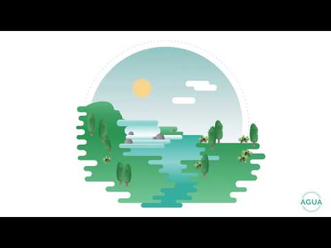Videos from EcoAvantis