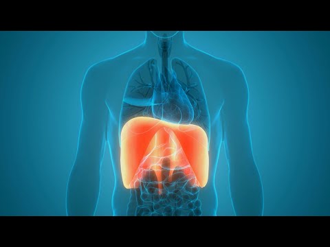 Warum bekomme ich so schlecht Luft? Sprechstunde: Luftnot