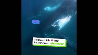 Ge en Alla 💚-dag hälsning med Greenpeace