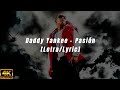 Pasión - Daddy Yankee Ft Arcángel (Letra)