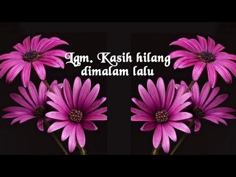 KARAOKE, lagu Lgm. Kasih hilang dimalam lalu. Aransemen musik OT : WD@wdbharata2486