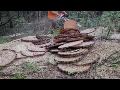 Mike's Ported MS462 is Done. Now I Have to Redo Mine