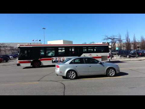 Toronto Transit Commission Buses Action in Etobicoke Ontario