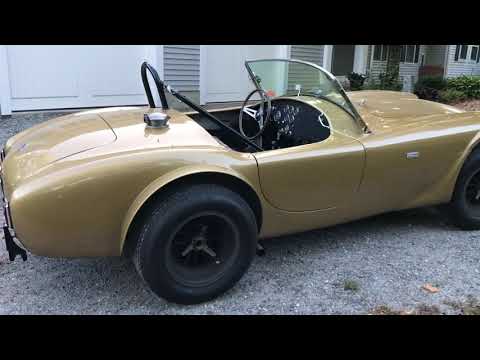 Shelby Cobra 289 competition fall 2020