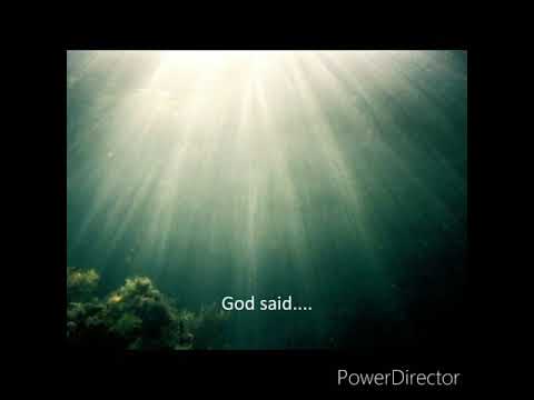 (Job 38) God Answers Job