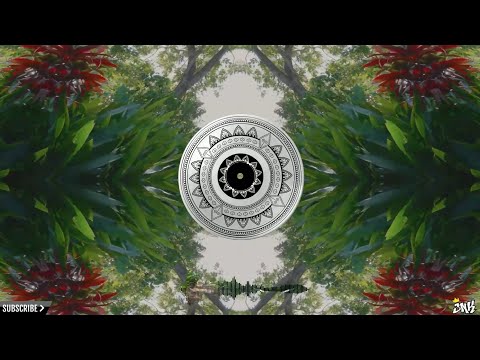 JNK • Organic sounds #01 • Live Session