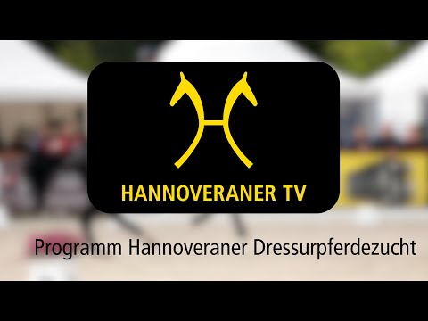 Hannoveraner TV - Programm Hannoveraner Dressurpferdezucht