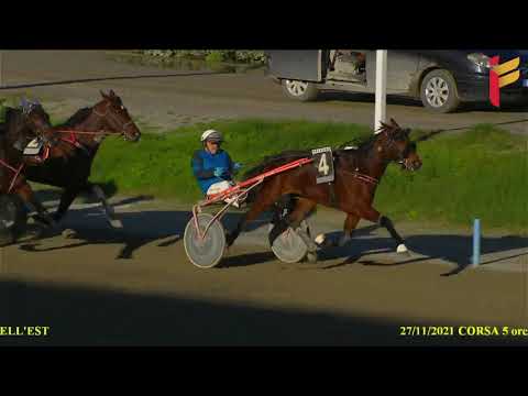 V Corsa del 29 Novembre 2021 - Cat G - Metri 2000 - Gentlemen