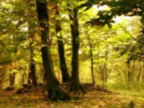 Il Castello dell'Acqua  2/5 - di Leonardo Franchini