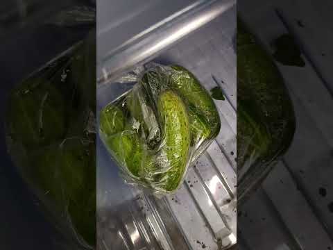 Eating Time #11pm#Shorts#Shorts Video😋😋