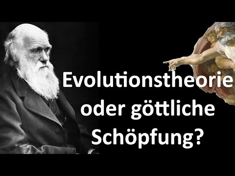 Evolutionstheorie oder göttliche Schöpfung?