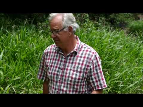 DIY Creek Markers at Terania Creek