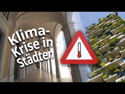 Klimakrise in Städten: So können wir das Stadtklima verbessern
