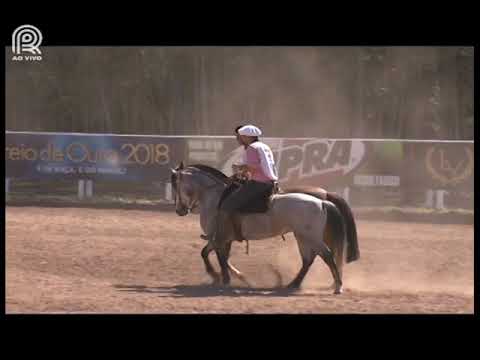 Sapucaia (RJ) – 1° e 2° lugar – Independência do Espigão e El Barqueiro 38 Pehuenia (Campo II)