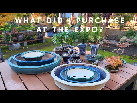 What Did I Purchase At The Expo!?