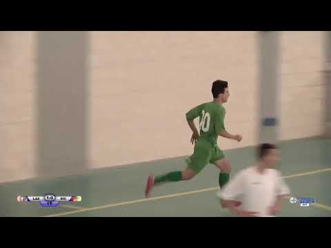 Federico Palmegiani - i gol