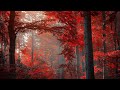 The Flashbulb - If Trees Could Speak (Extended)
