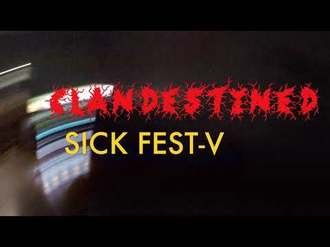 Play Video Youtube Video