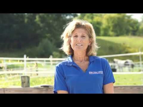 Dellbrook | JKS supporting BINA Farm center by providing funds to purchase and care for Halo