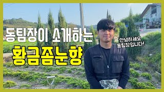 올가을? 첫 분작업