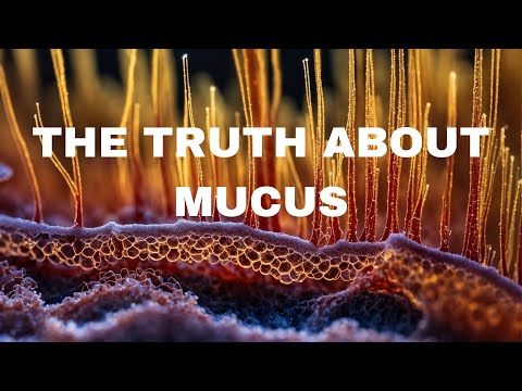 Unveiling The Facts: The Incredible Ways Mucus Keeps Us Healthy